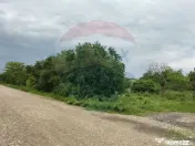 Teren 3,700mp Gulia/DN7 -20 km fata de Pta Victoriei -ide... 