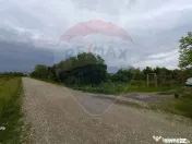 Teren 3,700mp Gulia/DN7 -20 km fata de Pta Victoriei -ide... 