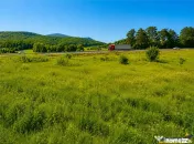 22.500mp oportunitate investitie, teren cu vizibilitate la D 