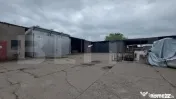 Hale industriale, utilaje, uscătoare cherestea și teren, 2 
