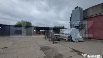 Hale industriale, utilaje, uscătoare cherestea și teren, 2