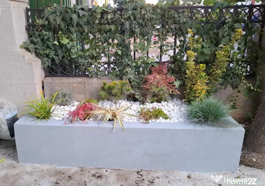 Apartament 5 Camere - Vila Interbelică - Dorobanti