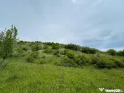 Proprietate exclusivistă cu potențial uriaș în Bunești, 