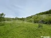 Proprietate exclusivistă cu potențial uriaș în Bunești, 