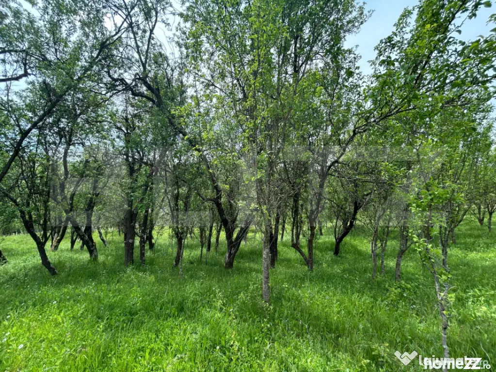 Proprietate exclusivistă cu potențial uriaș în Bunești, - Bunesti (Cluj)