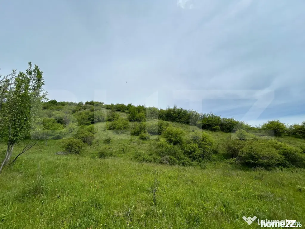 Proprietate exclusivistă cu potențial uriaș în Bunești, - Bunesti (Cluj)