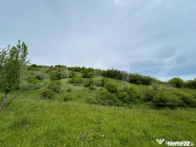 Proprietate exclusivistă cu potențial uriaș în Bunești, - Bunesti (Cluj)