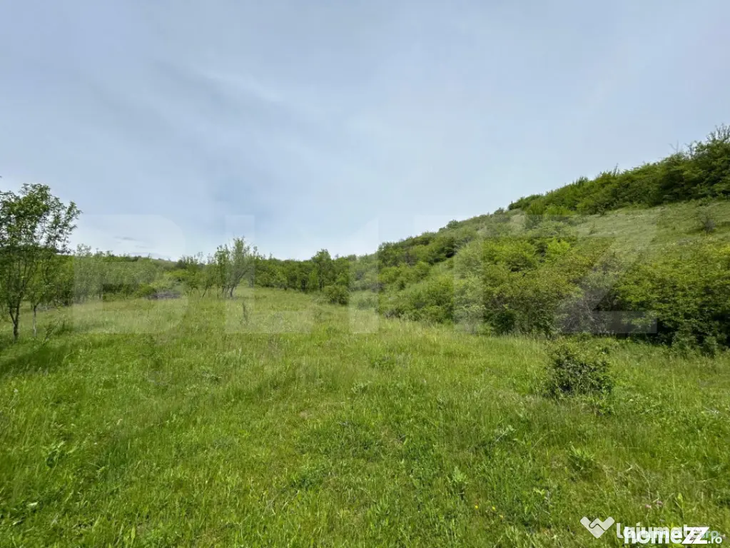 Proprietate exclusivistă cu potențial uriaș în Bunești, - Bunesti (Cluj)