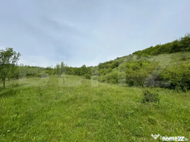 Proprietate exclusivistă cu potențial uriaș în Bunești, - Bunesti (Cluj)