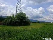 Teren extravilan de Talmaciu 