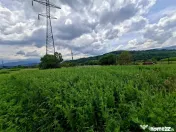 Teren extravilan de Talmaciu 