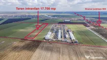 Teren intravilan Belciugatele*300 m de DN*Linie de tensiune