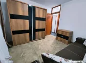 Pantelimon- Socului- Basarabiei- Herta 