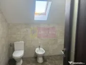 Vila gata pentru mutare P+M Domneti- Teghes constructie 2... 