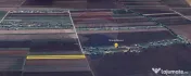 Teren Investiție 6300mp Săcele - 10m de Utilități in ... 