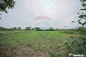 De vânzare casă cu 3 camere și teren 3205 mp în Sânn...