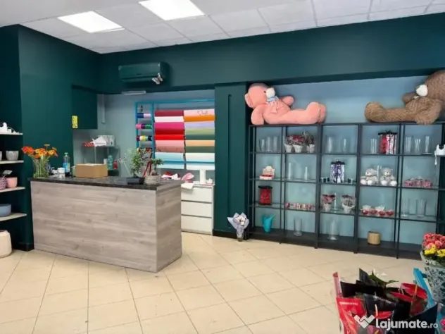 Zona Calea Moșilor sp 40 mp stradal