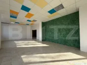 Sptiu birouri, 200 mp, zona Dumbravita 