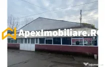 Hale Industriale de Vânzare Baicoi – 1100 mp + 800 mp, te
