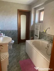 Vilă de lux spatiu de vânzare zona Titan Parcul Teilor Ozana 