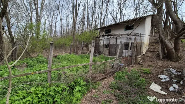 Casa de locuit 125 mp cu teren 1500 mp Motoseni-Bacau