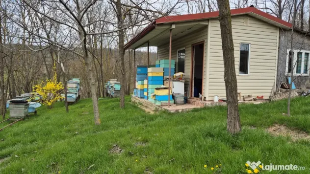 Casa de locuit 125 mp cu teren 1500 mp Motoseni-Bacau