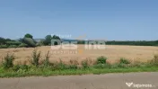Teren extravilan Balteni, Vaslui, la limita intravilanului 