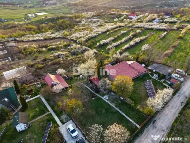 COMISION 0% CUMPARATOR - Teren intravilan 900 mp - Vișan, B