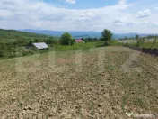 Teren cu autorizatie de constructie, 1000 mp - Jelna