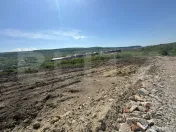 Teren extravilan de 5.100 mp la intrare în Chinteni – opo 