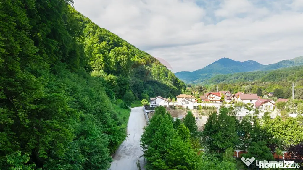 Teren intravilan 2000mp parcelat -ideal rezidențial/inve... - Sacele (Brasov)