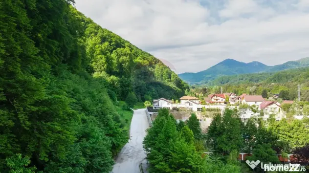 Teren intravilan 2000mp parcelat -ideal rezidențial/inve... - Sacele (Brasov)
