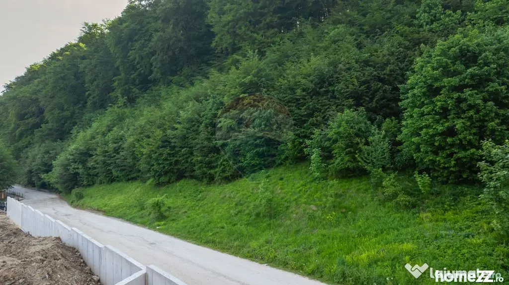 Teren intravilan 2000mp parcelat -ideal rezidențial/inve... - Sacele (Brasov)