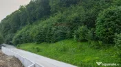 Teren intravilan 2000mp parcelat -ideal rezidențial/inve... 