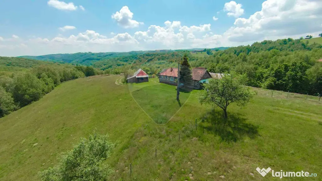 De vânzare casă cu teren și pădure 55706 mp - Șinteu...