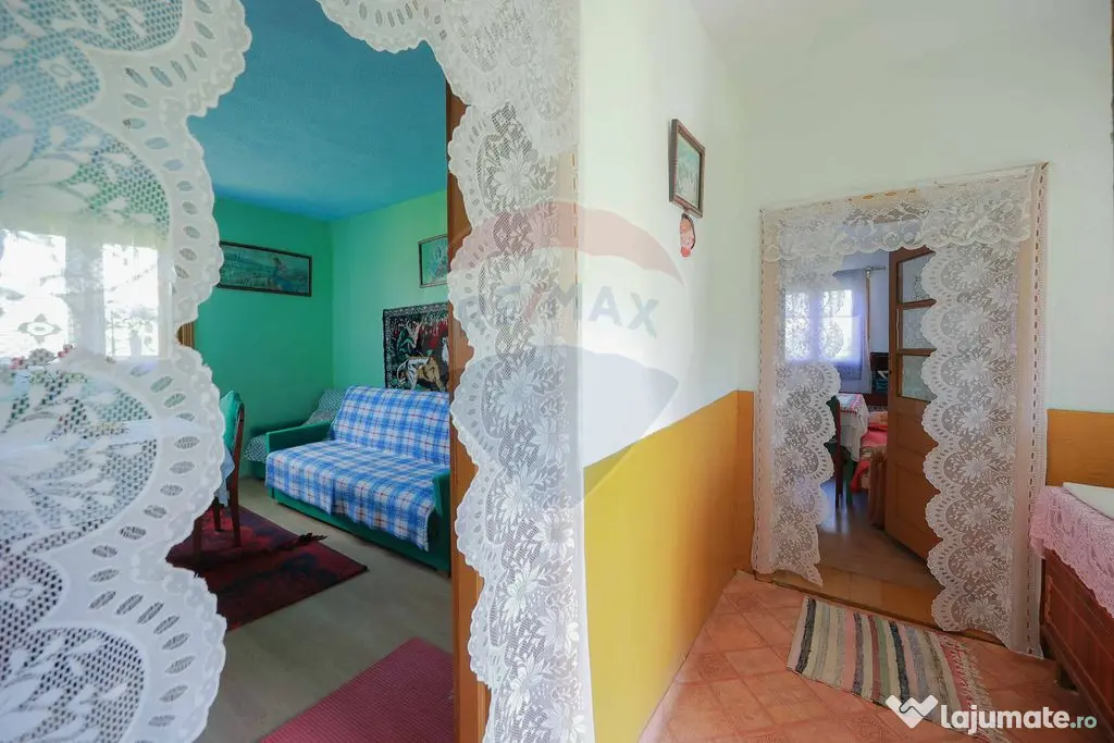 De vânzare casă cu teren și pădure 55706 mp - Șinteu...