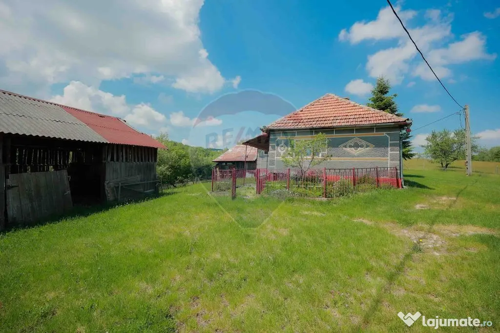 De vânzare casă cu teren și pădure 55706 mp - Șinteu...
