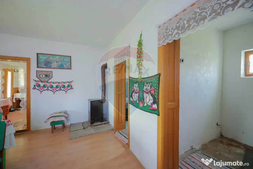 De vânzare casă cu teren și pădure 55706 mp - Șinteu...