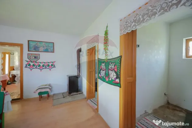 De vânzare casă cu teren și pădure 55706 mp - Șinteu...