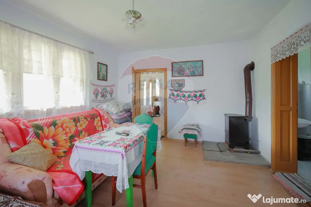 De vânzare casă cu teren și pădure 55706 mp - Șinteu...