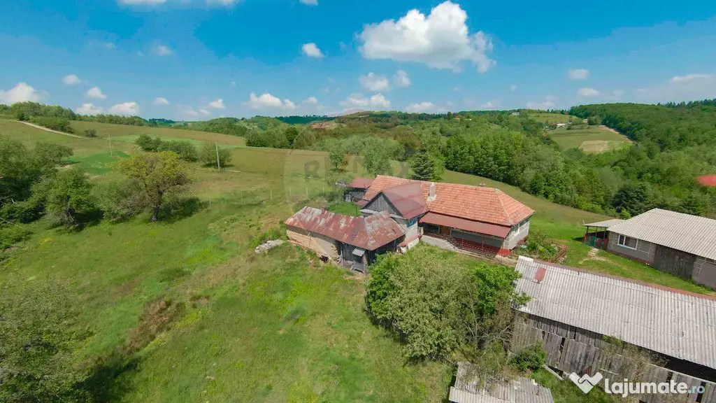 De vânzare casă cu teren și pădure 55706 mp - Șinteu...