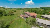 De vânzare casă cu teren și pădure 55706 mp - Șinteu... 