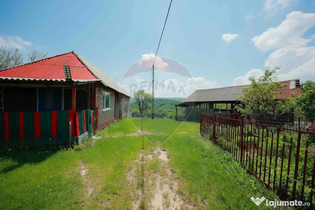 De vânzare casă cu teren și pădure 55706 mp - Șinteu...