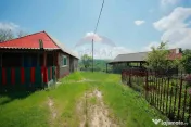 De vânzare casă cu teren și pădure 55706 mp - Șinteu... 