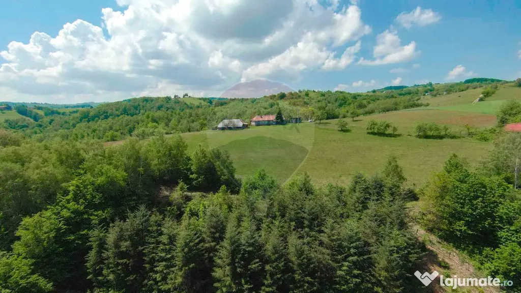 De vânzare casă cu teren și pădure 55706 mp - Șinteu...