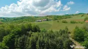 De vânzare casă cu teren și pădure 55706 mp - Șinteu... 