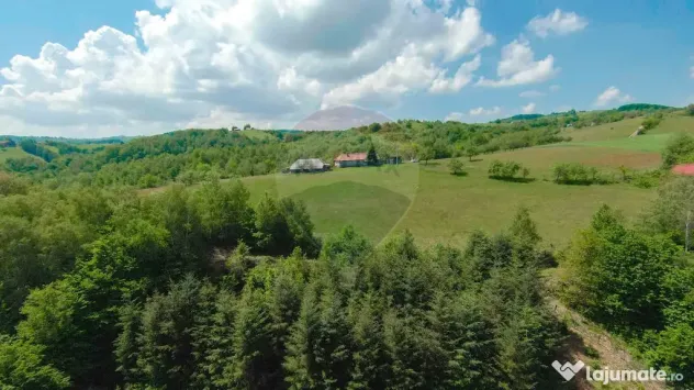 De vânzare casă cu teren și pădure 55706 mp - Șinteu...