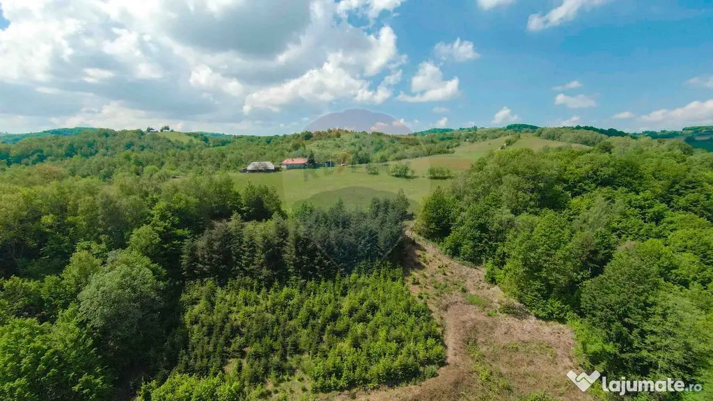 De vânzare casă cu teren și pădure 55706 mp - Șinteu...