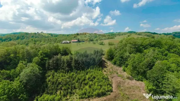 De vânzare casă cu teren și pădure 55706 mp - Șinteu...