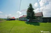 De vânzare casă cu teren și pădure 55706 mp - Șinteu... 